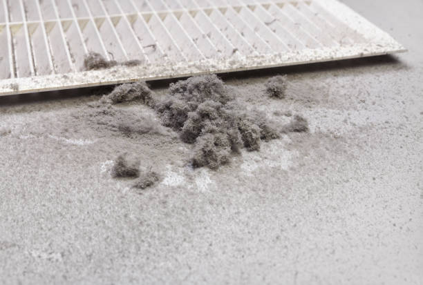 Best Air Duct Cleaning Near Me  in Dakota Ridge, CO