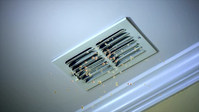Best Air Duct Cleaning Company Near Me  in Dakota Ridge, CO