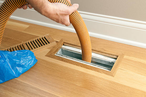 Best Affordable Duct Cleaning Services  in Dakota Ridge, CO